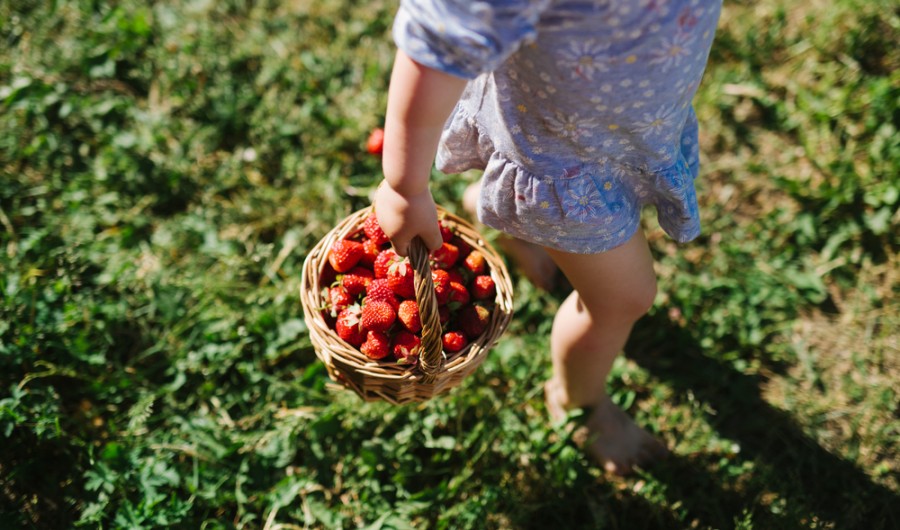children eating healthily
