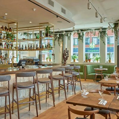 Best Vegetarian Restaurants