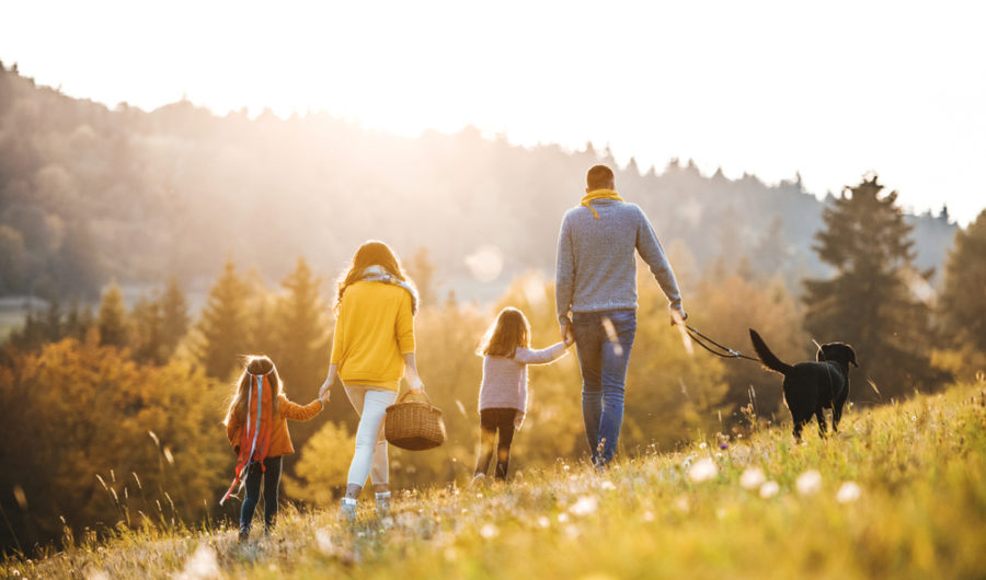 How To Ease Exam Stress For Your Child This Summer