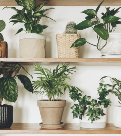 The Pollution Solution - 4 Ways To Protect Your Body + Home