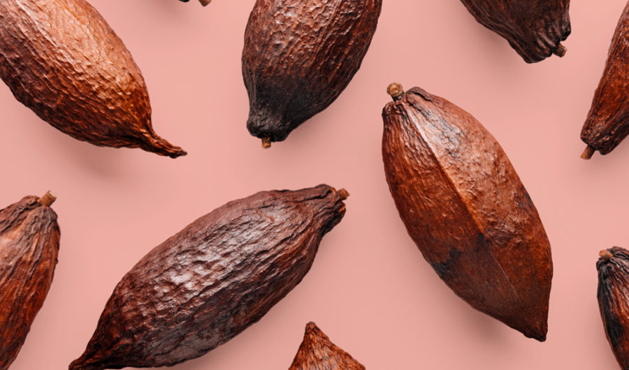 How To Be An Ethical Chocoholic