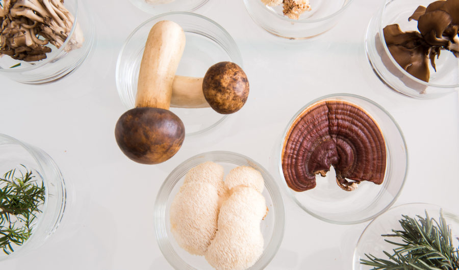 Shroomin’ Marvelous - Why Mushrooms Are An Underrated Superfood