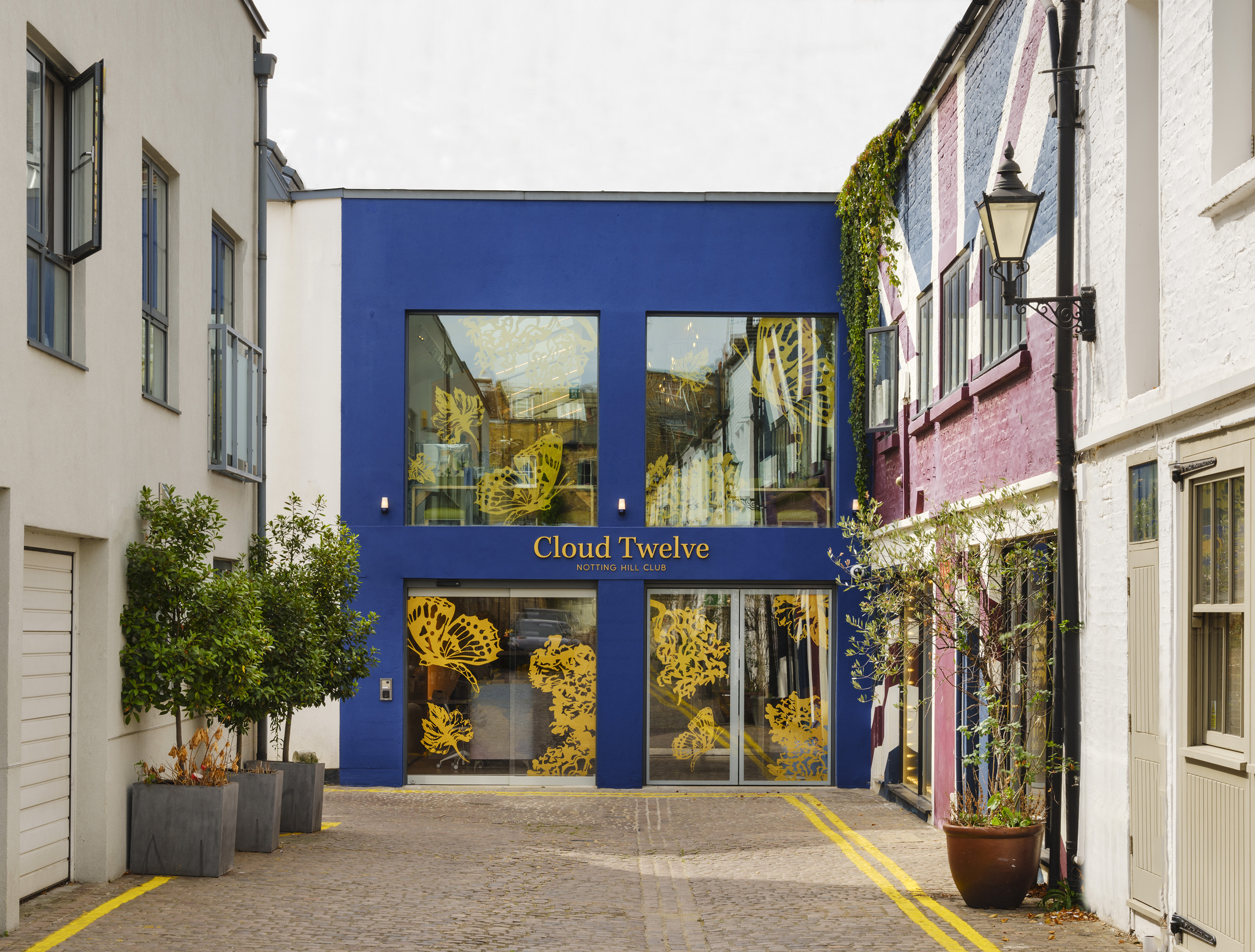 holistic facelift - cloud twelve