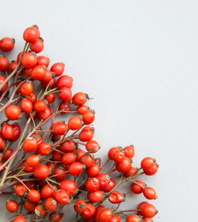 How Rosehip Oil Saved My Skin