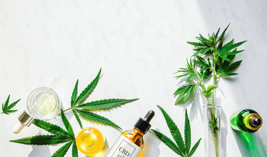 UK's First-Ever CBD Awards Hosted By Hip & Healthy Coming Soon...