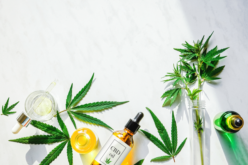 UK's First-Ever CBD Awards Hosted By Hip & Healthy Coming Soon...