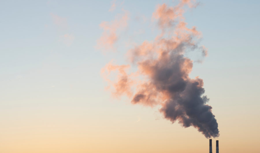 The Sustainable Documentaries To Watch If You Haven’t Already