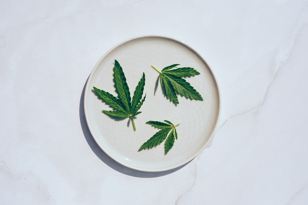 Hip & Healthy CBD Awards 2021