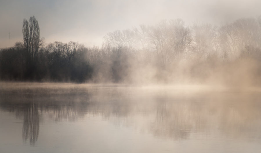 This Is Why You're Getting Brain Fog