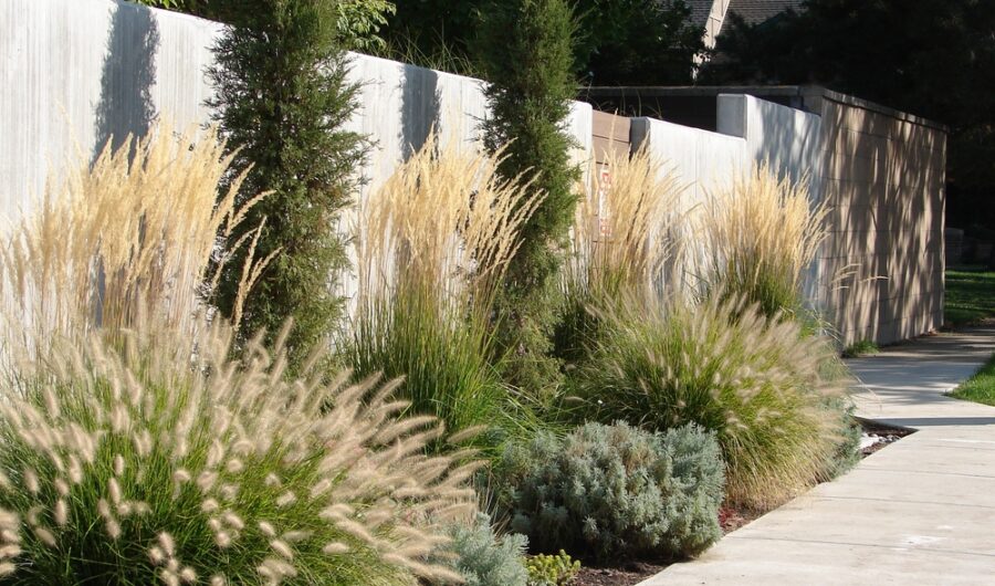 How Landscape Gardeners Shape Our Wellness Spaces