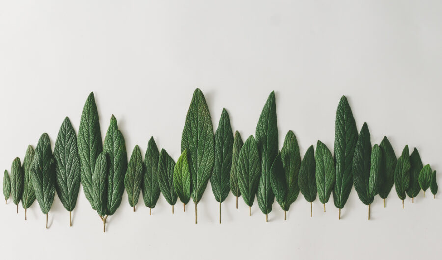 What Does It Mean To Be B-Corp