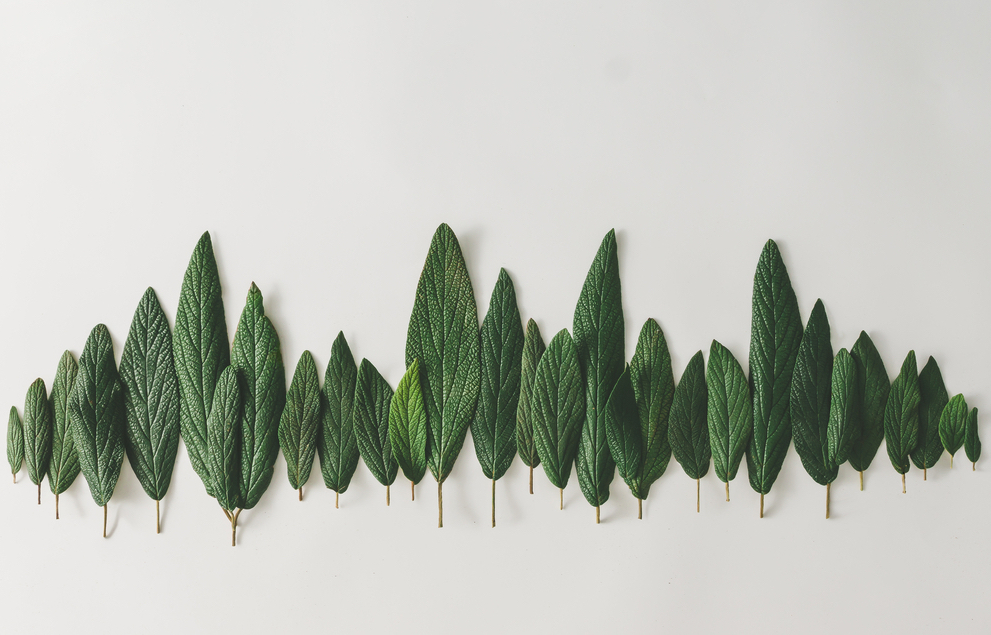 What Does It Mean To Be B-Corp