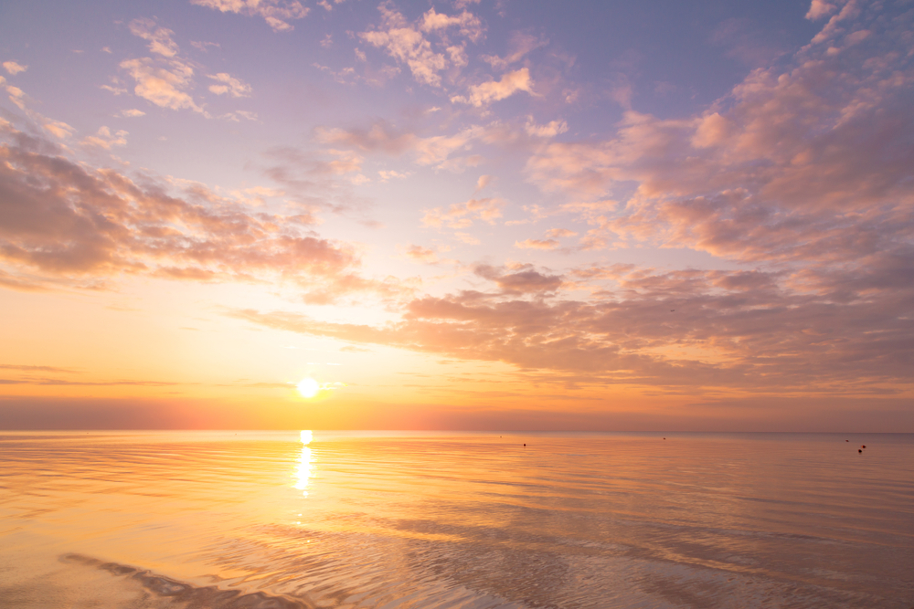 10 Wellness Habits To Adopt If You Suffer From SAD