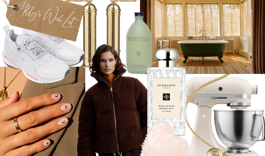 Molly Christmas Wish List