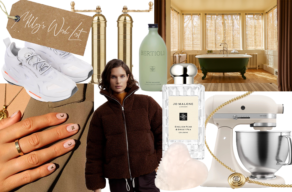 Molly Christmas Wish List