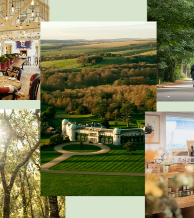 An Expert's Guide To Longevity