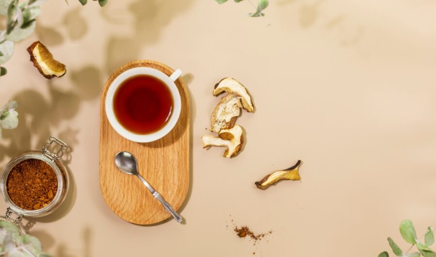5 Functional Mushrooms To Improve Focus, Immunity & Energy
