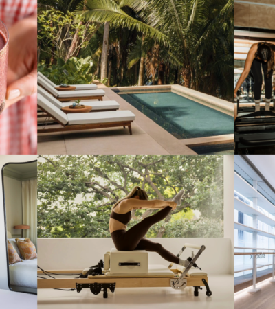 What's New In The World Of Wellness This December