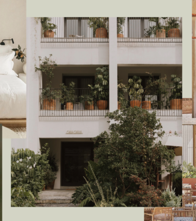 Hip & Healthy Guide To Mexico City