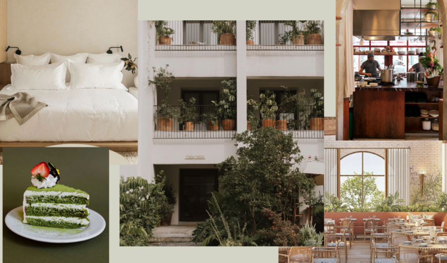 Hip & Healthy Guide To Mexico City