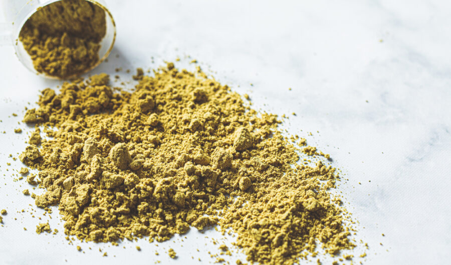 The Importance of Protein in Your Daily Routine