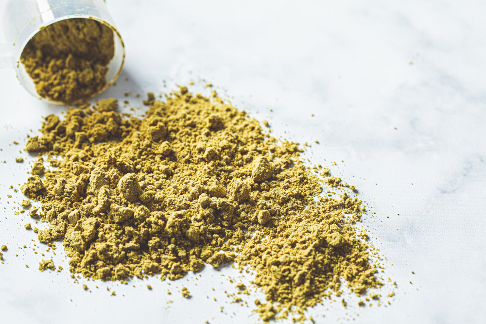 The Importance of Protein in Your Daily Routine