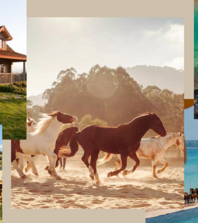 Cowboy-Core Travel Is Trending: The Best Horse Riding Holidays To Book