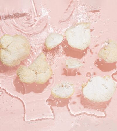 The Adaptogenic Mushroom That Could Help ADHD, Brain Fog and Burnout