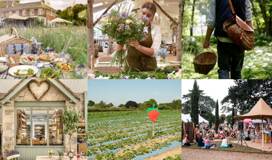 The Best Summer Activities To Book This Month